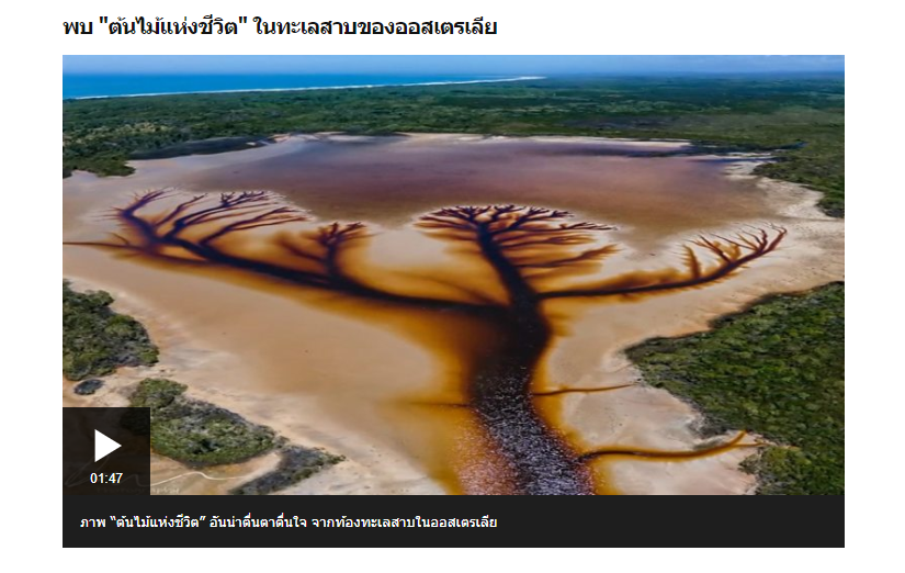 ภาพ "ต้นไม้แห่งชีวิต" อันน่าตื่นตาตื่นใจ จากท้องทะเลสาบในออสเตรเลีย