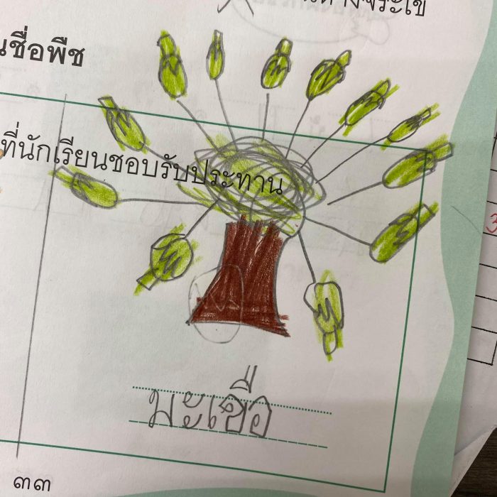 ครูโชว์ผลงานการบ้านนักเรียน ‘พืชผักที่ชอบทาน’