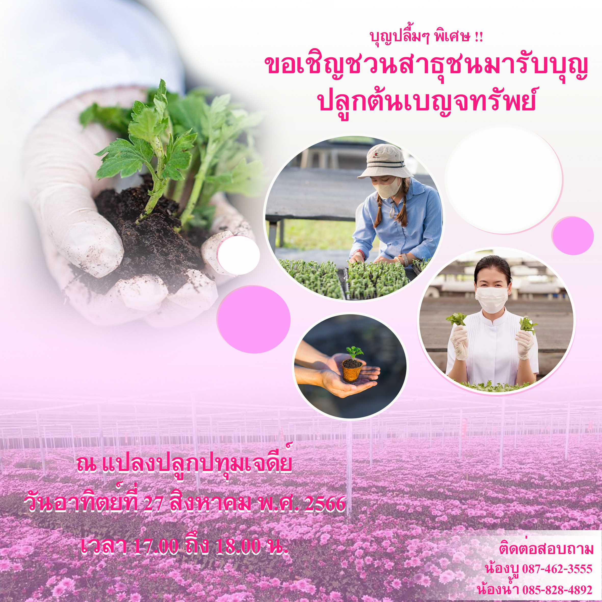 ขอเชิญชวนสาธุชน ปลูกต้นเบญจทรัพย์