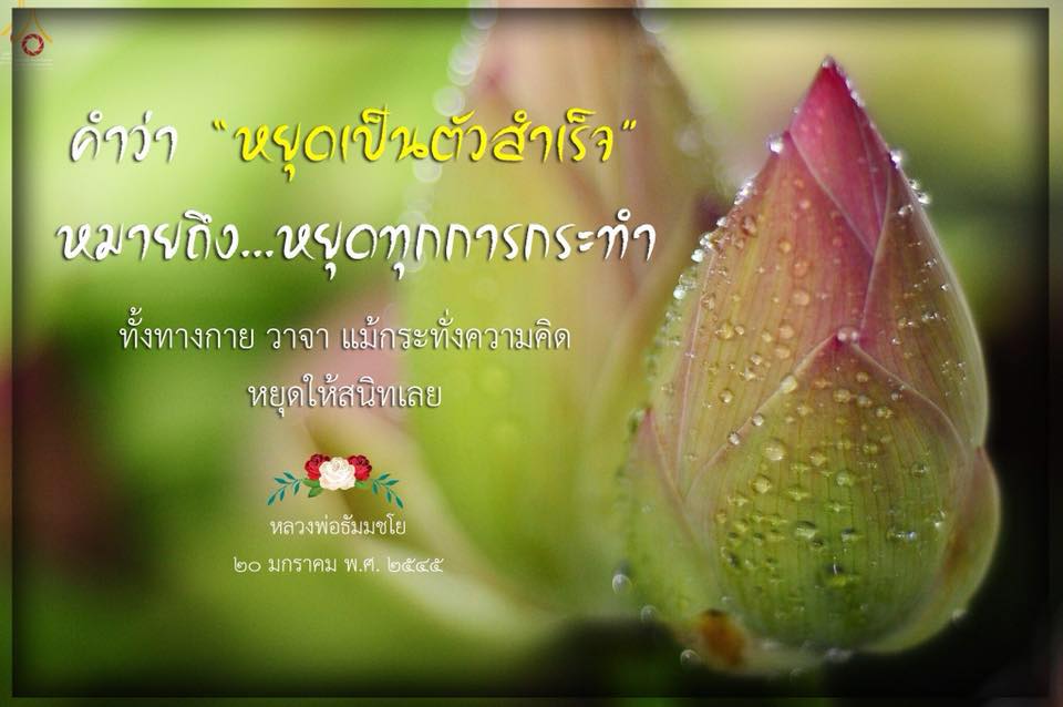 โครงการปฏิบัติธรรม  ณ สวนพนาวัฒน์