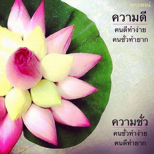 นิทานธรรมะสอนใจ เรื่องคนทำดี