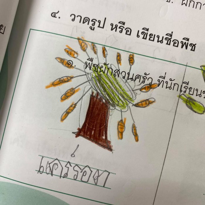 ครูโชว์ผลงานการบ้านนักเรียน ‘พืชผักที่ชอบทาน’