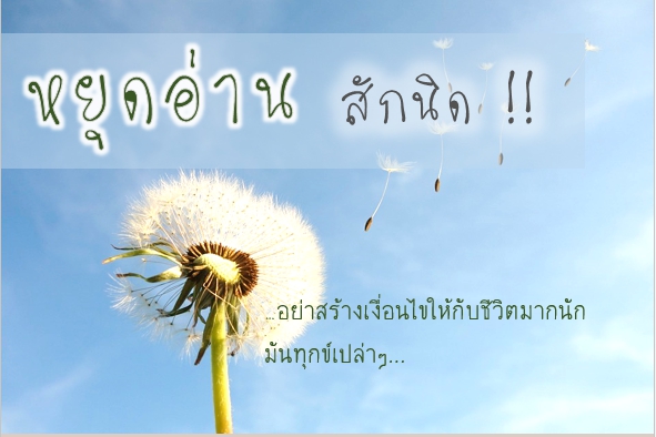 หยุดอ่าน  สักนิด