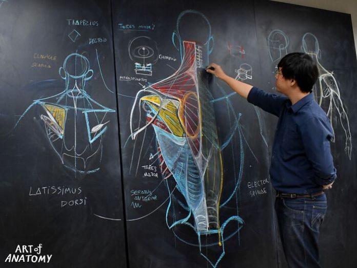ต่างชาติว้าว เห็นห้องเรียนวาดภาพ “ร่างกายมนุษย์” ของไทย ดังไกลต่างแดน