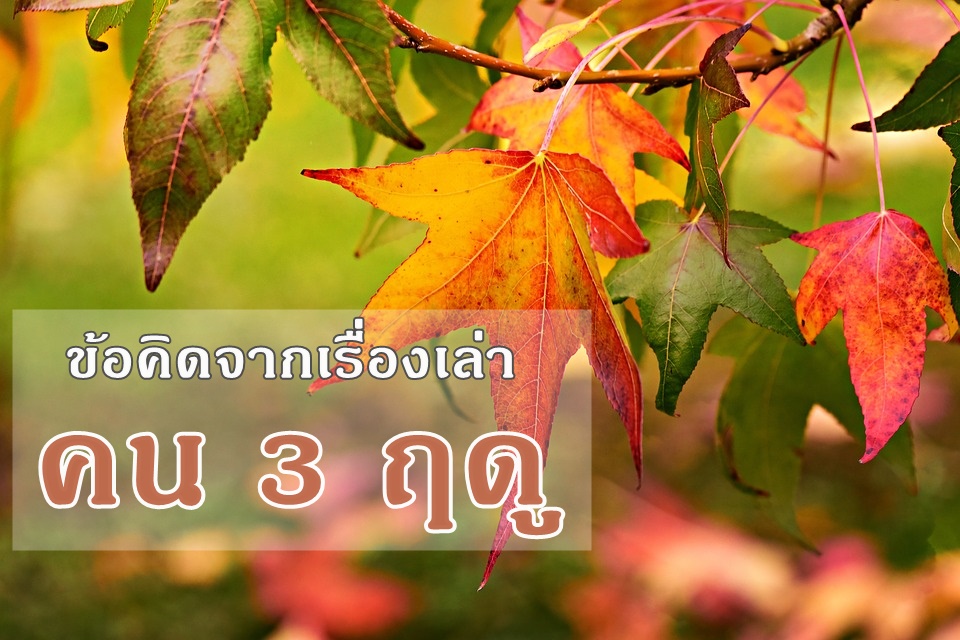 คน 3 ฤดู