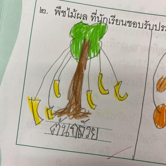 ครูโชว์ผลงานการบ้านนักเรียน ‘พืชผักที่ชอบทาน’