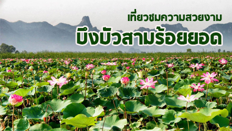 ชมความสวยงามของบึงบัวสามร้อยยอด ส่งเสริมการท่องเที่ยวสร้างรายได้ให้กับชาวบ้าน