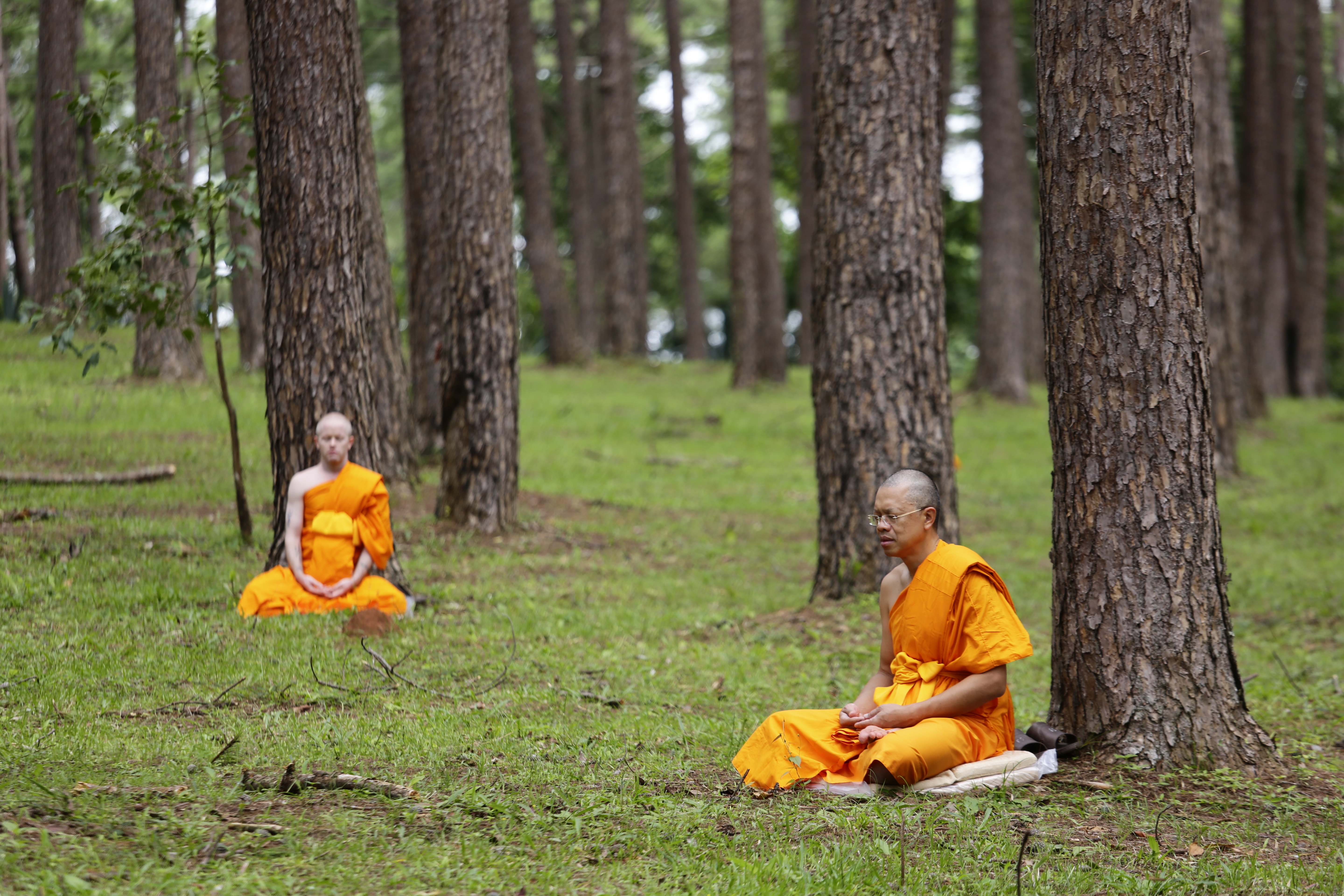 อดีตผู้บริหารไมโครซอฟท์ ออกบวชเพื่อศึกษาสมาธิในพระพุทธศาสนา