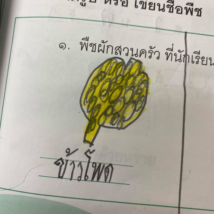 ครูโชว์ผลงานการบ้านนักเรียน ‘พืชผักที่ชอบทาน’